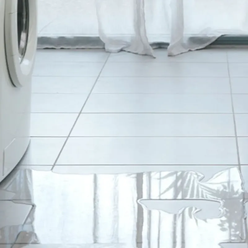 Appliance Leak Cleanup in Bridgeport, IL