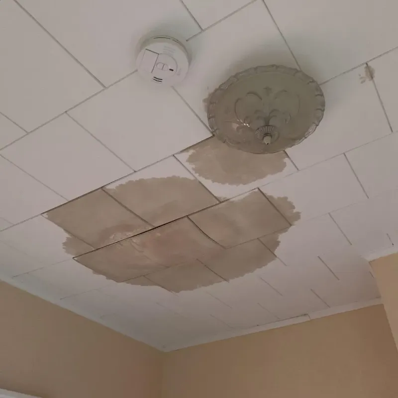 Ceiling Water Damage Repair in Bridgeport, IL