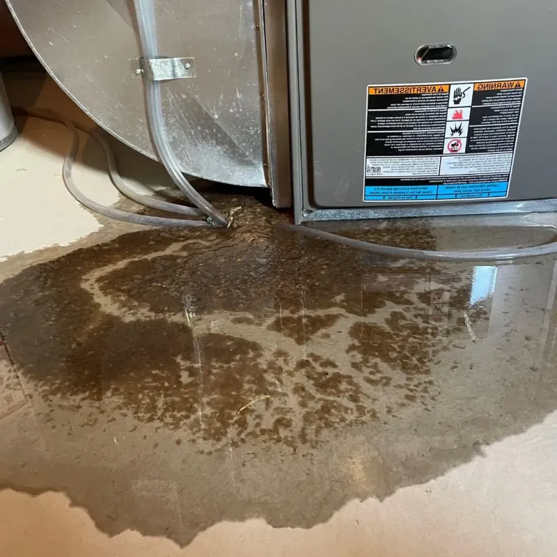 Pipe Burst and Leak Restoration in Bridgeport, IL