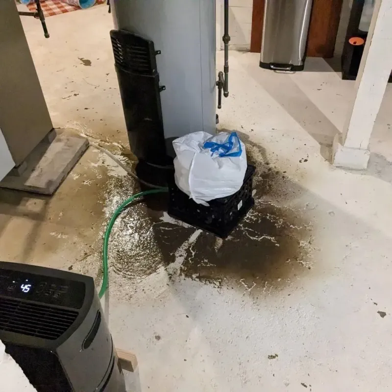 Sewage Backup Cleanup Service in Bridgeport, IL
